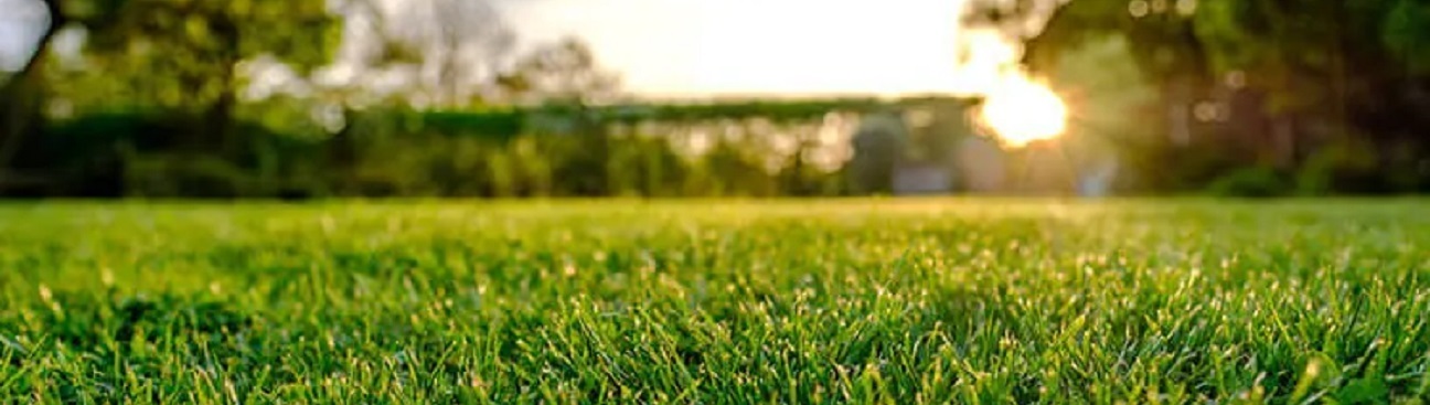 Green Envy Lawn Care's cover image