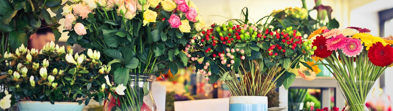 Klein's Flower Shop's cover image