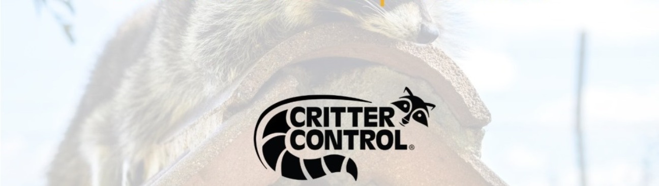 Cirtter Control of Central Missouri - Sedalia's cover image