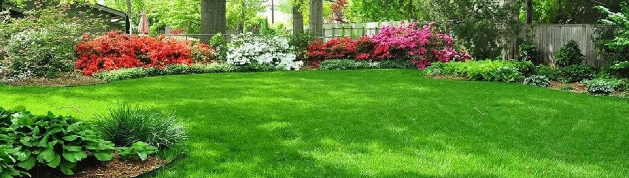 Back To Nature Lawn Care's cover image