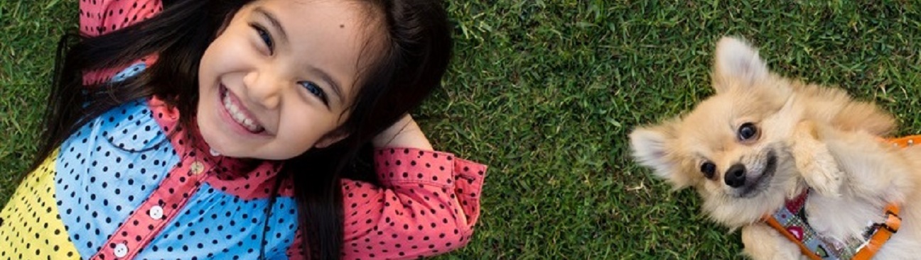 Emerald Lawn Care's cover image