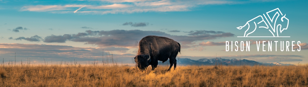  Jill Donovan's cover image