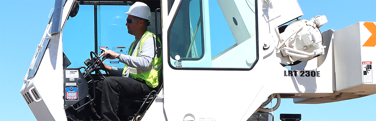 Paradise Crane Consultants, LLC's cover image