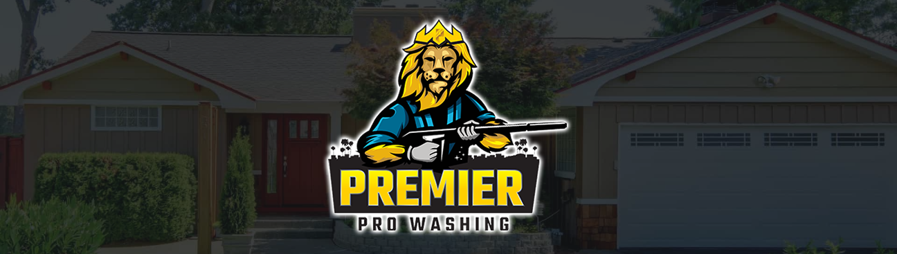 Premier Pro Washing's cover image