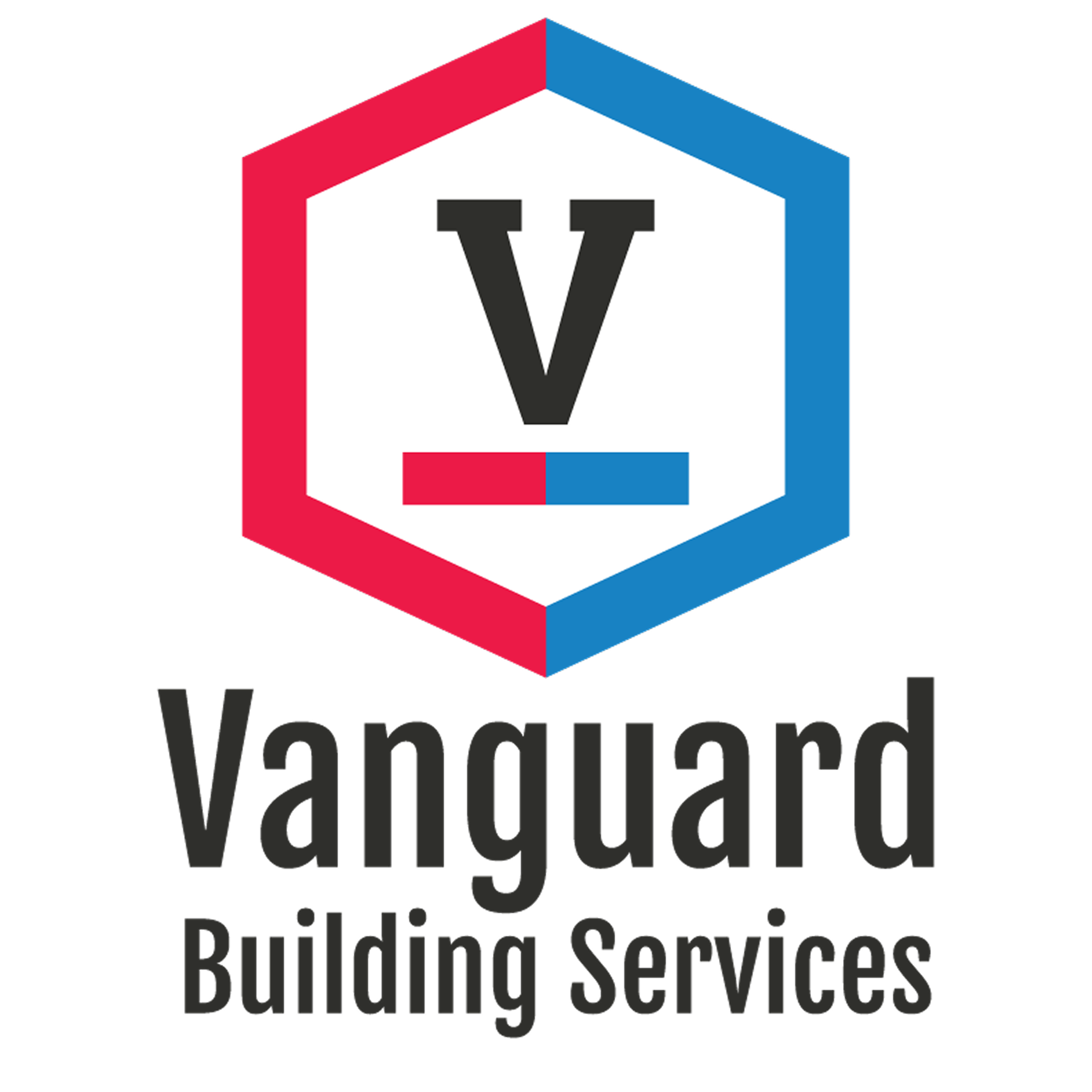 Vanguard Building Services – Your Premier Siding and Exterior Makeover Experts in Greater Chicago's cover image