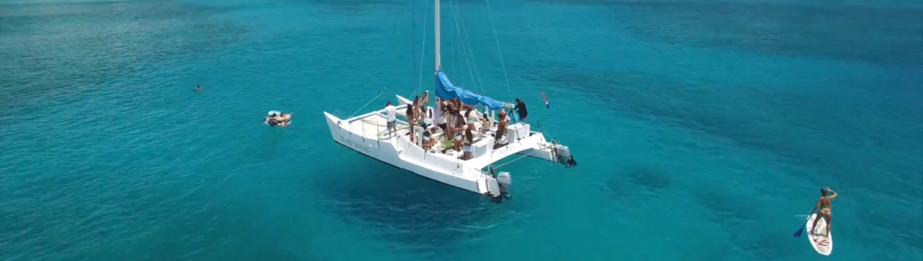 Aloha Sails Waikiki's cover image