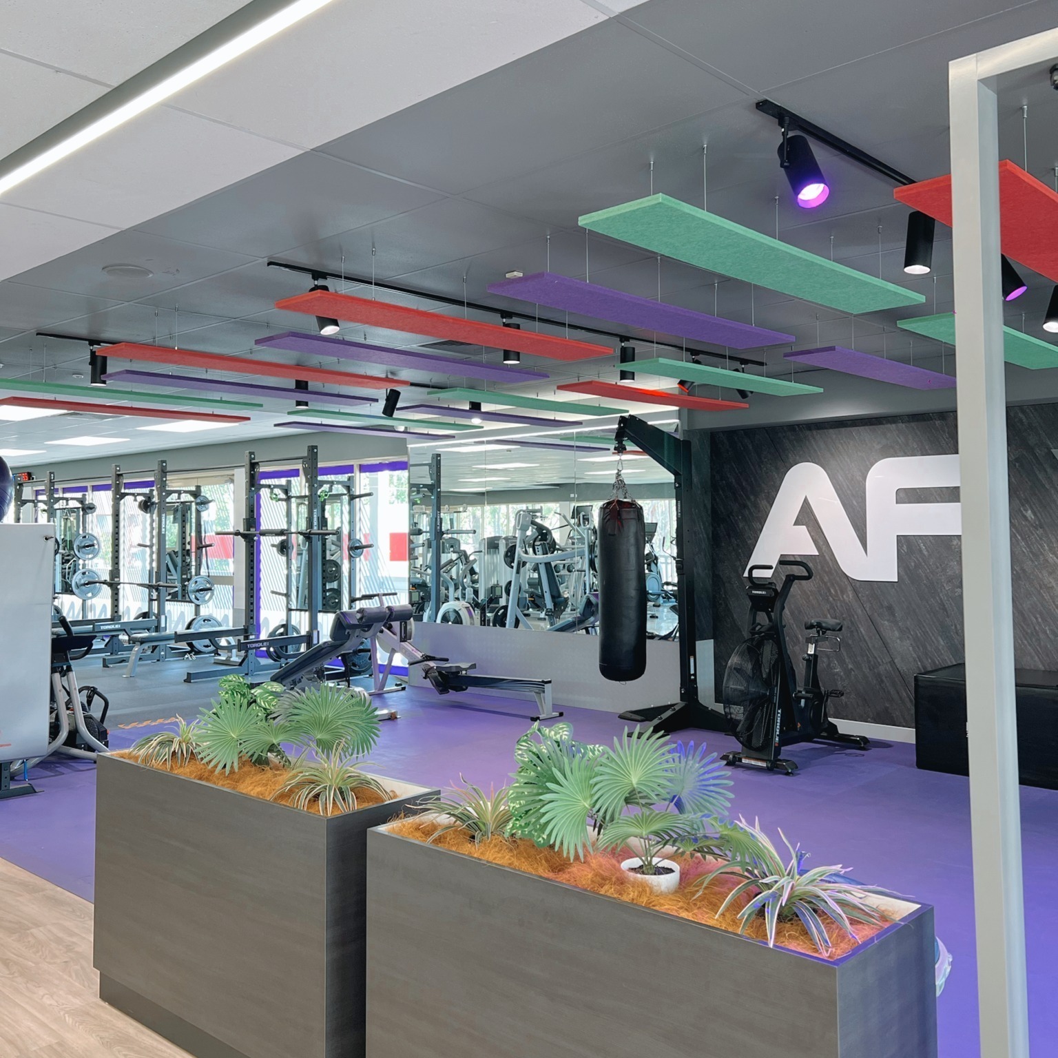 Anytime Fitness Ormeau's cover image