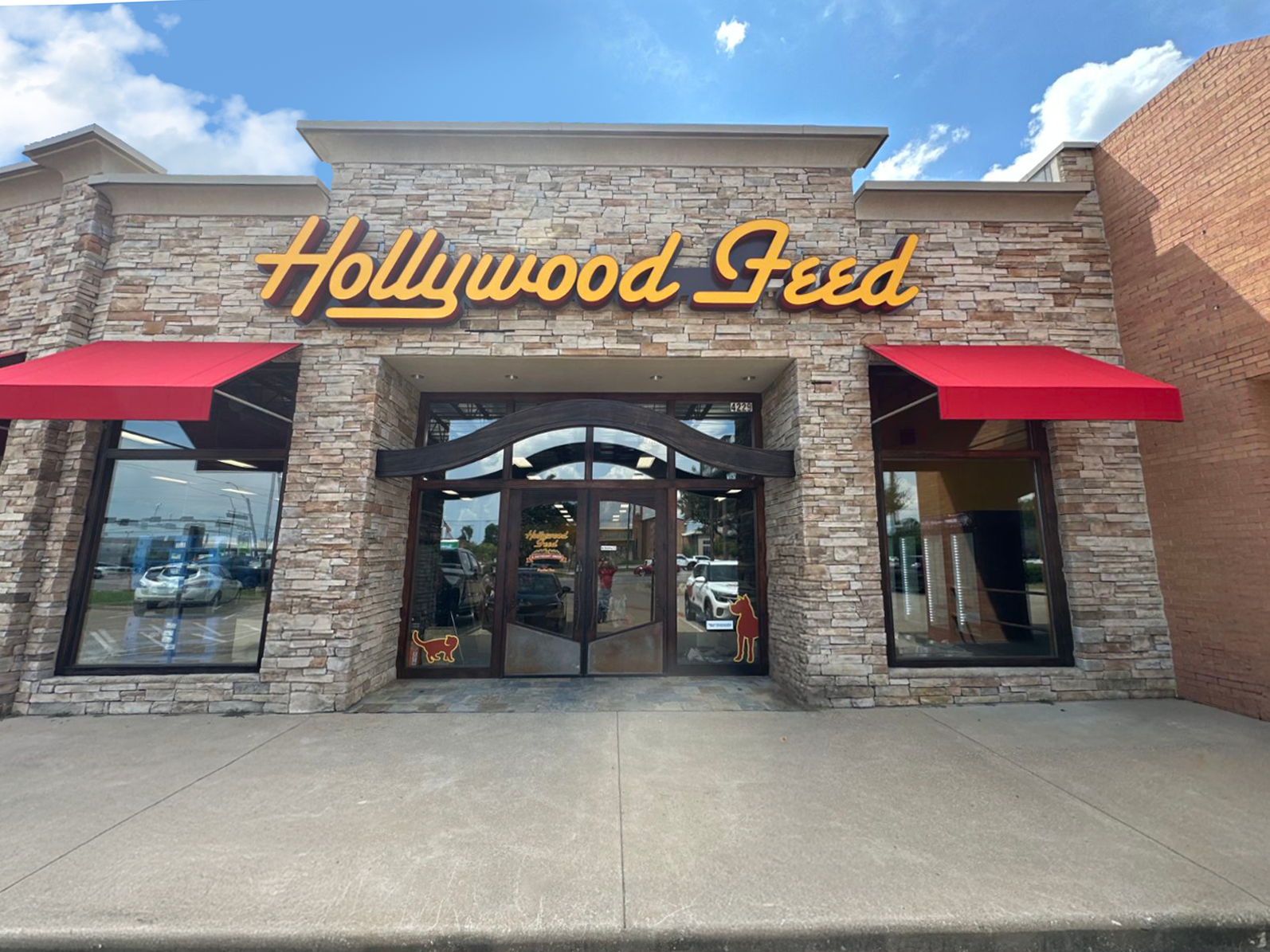 Hollywood Feed