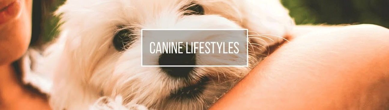 The Pawsh Dog Inc.'s cover image