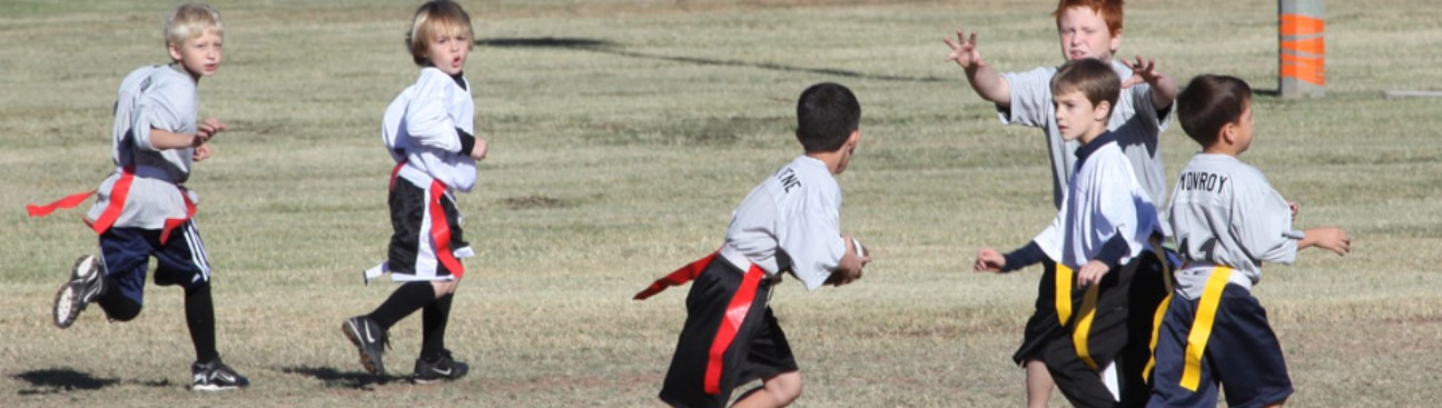 Mesa Youth Sports's cover image