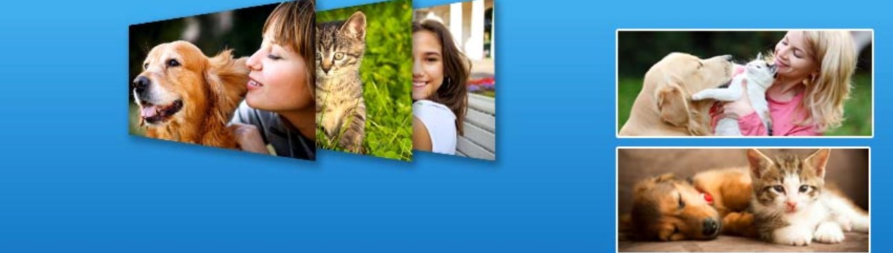 Eldorado Pet Hospital's cover image