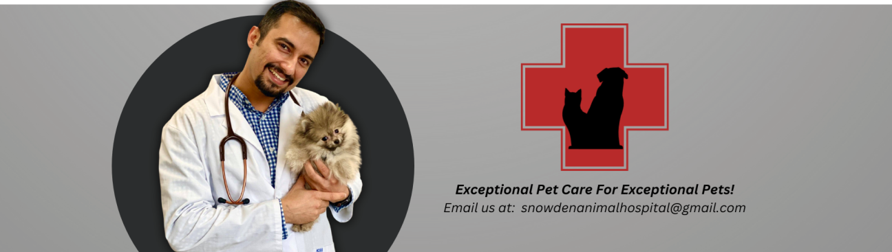 Snowden Animal Hospital's cover image