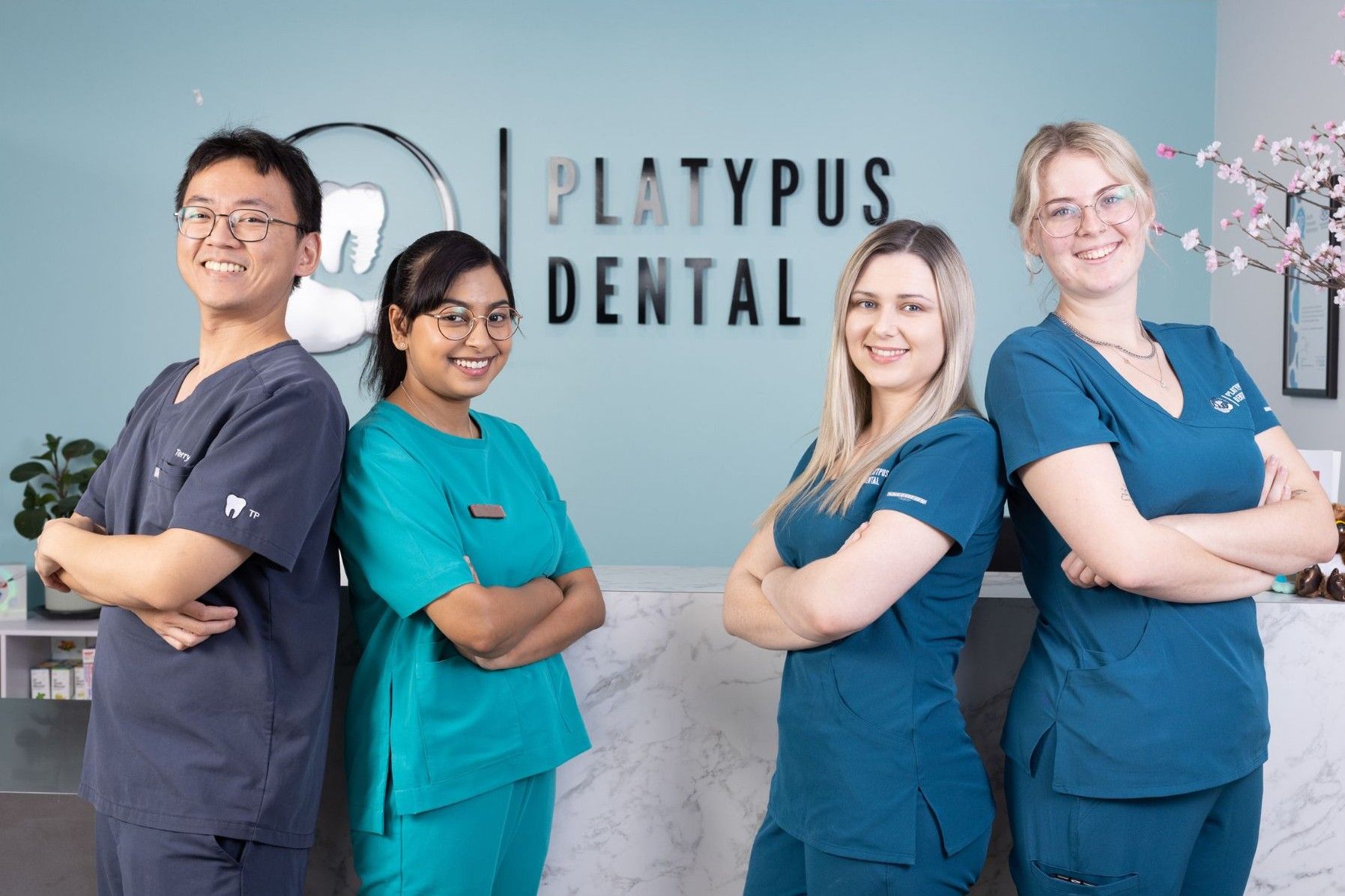Platypus Dental's cover image