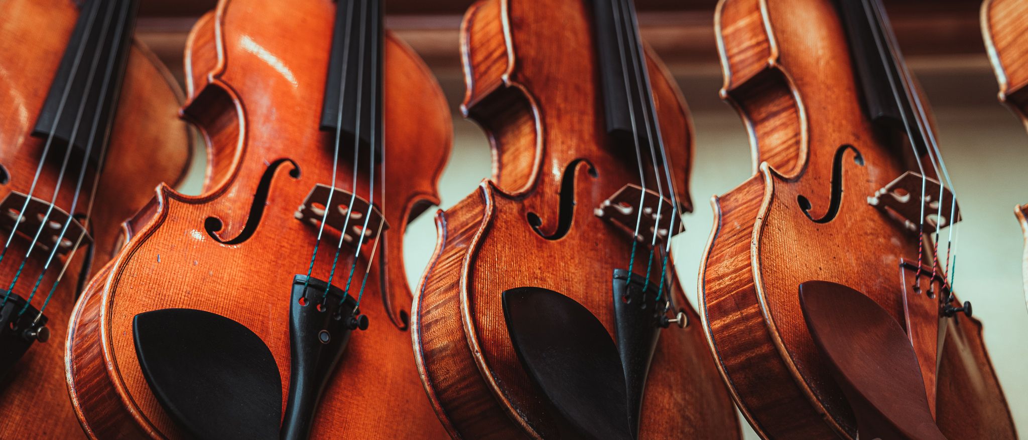 Johns Violin Company's cover image