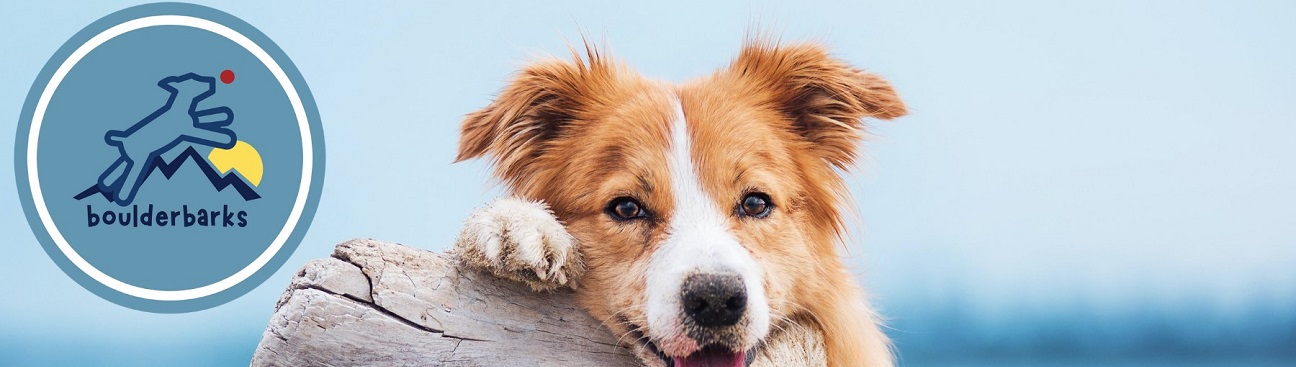 boulderbarks's cover image