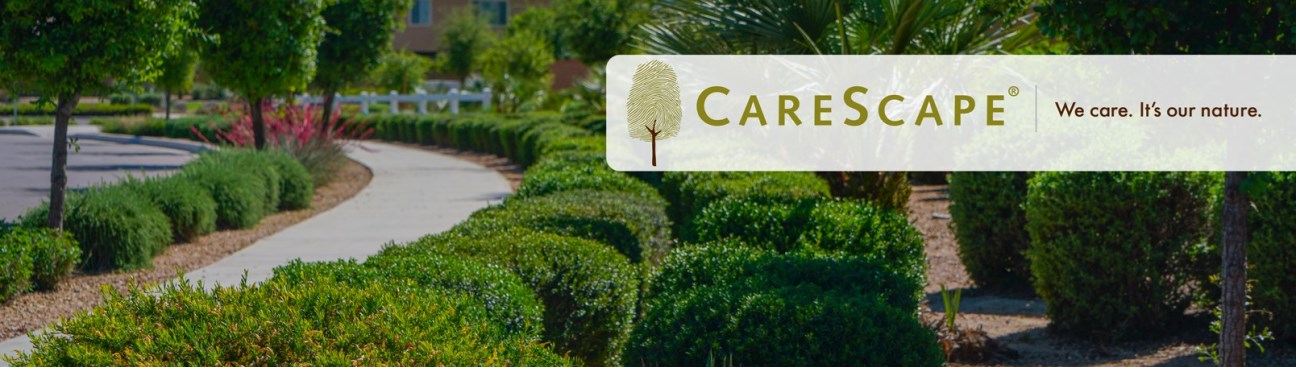 CareScape's cover image