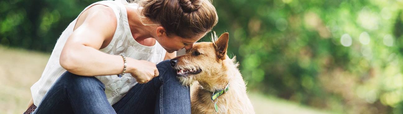 Animal Emergency Center of Tulsa's cover image