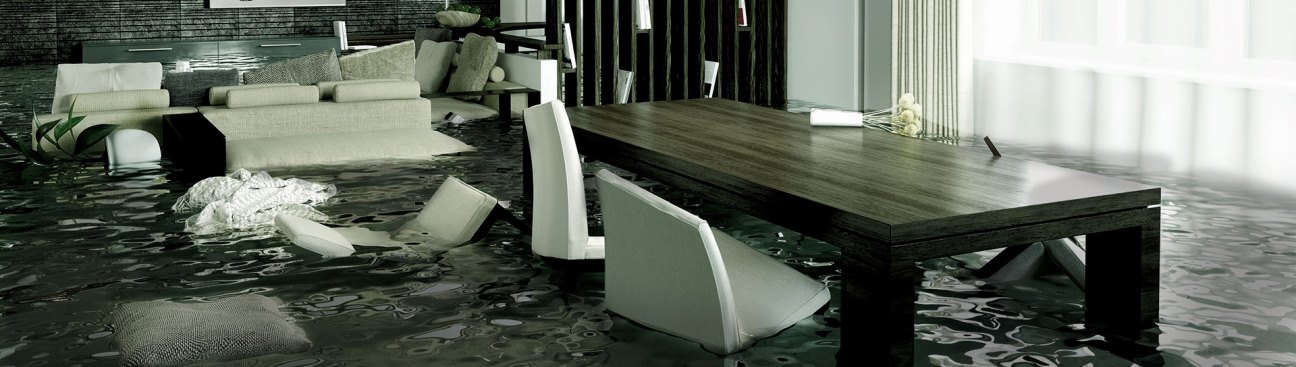 Southern Signature Group's cover image