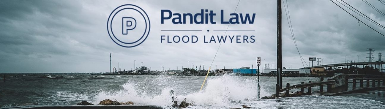 Pandit Law's cover image