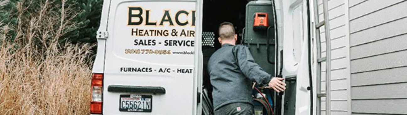 Black Lion Heating, Air Conditioning, & Electrical's cover image