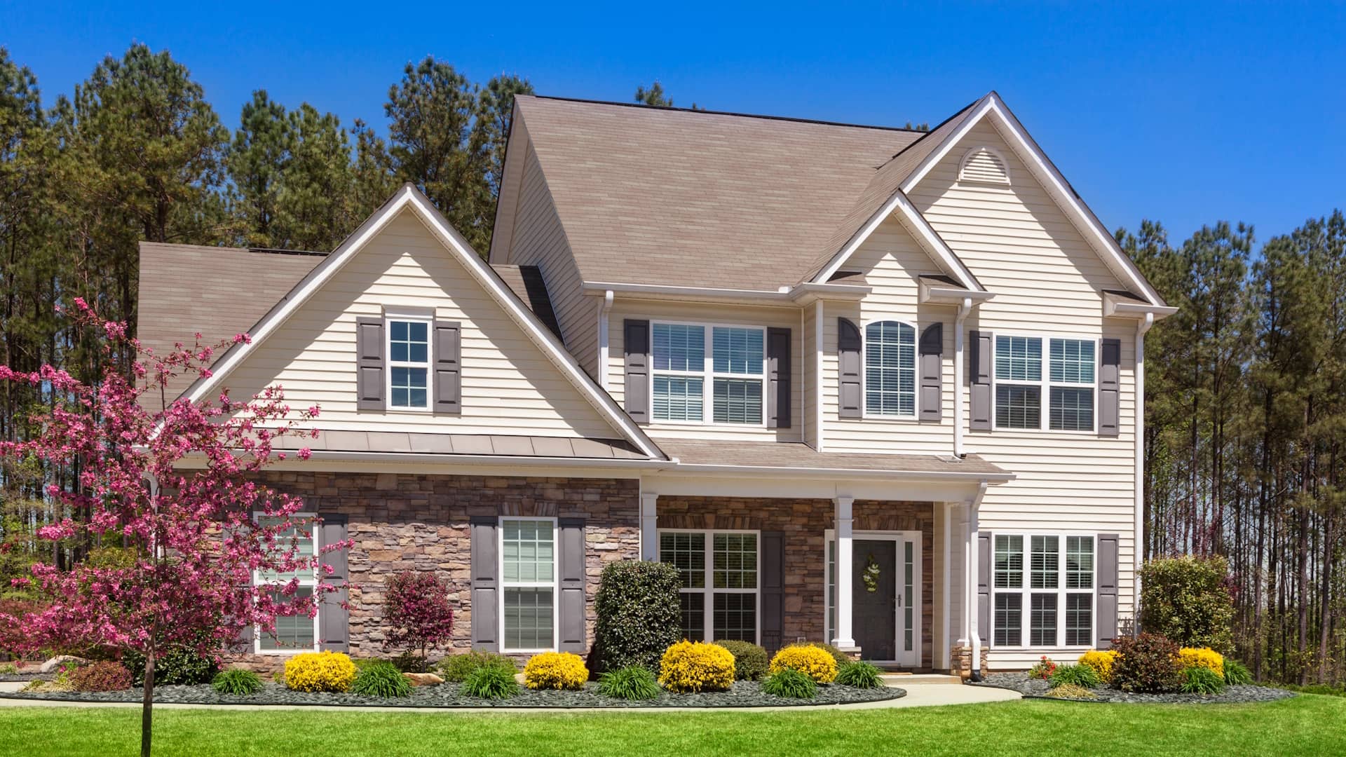 Bompa Wash's cover image