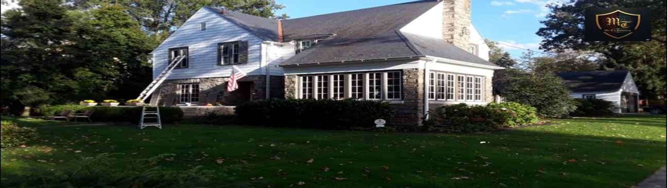 Mr T's Painting's cover image