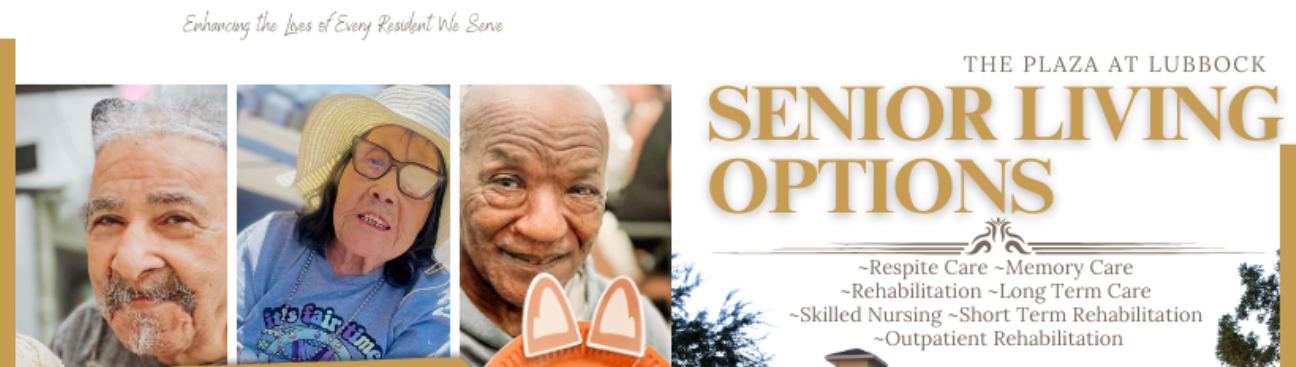 The Plaza At Lubbock's cover image