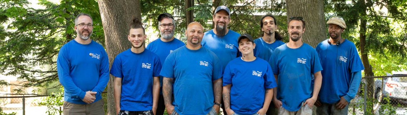 Will Mow Lawn's cover image