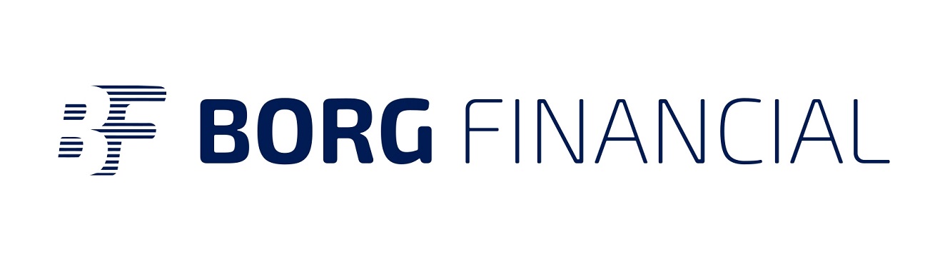 Borg Financial's cover image