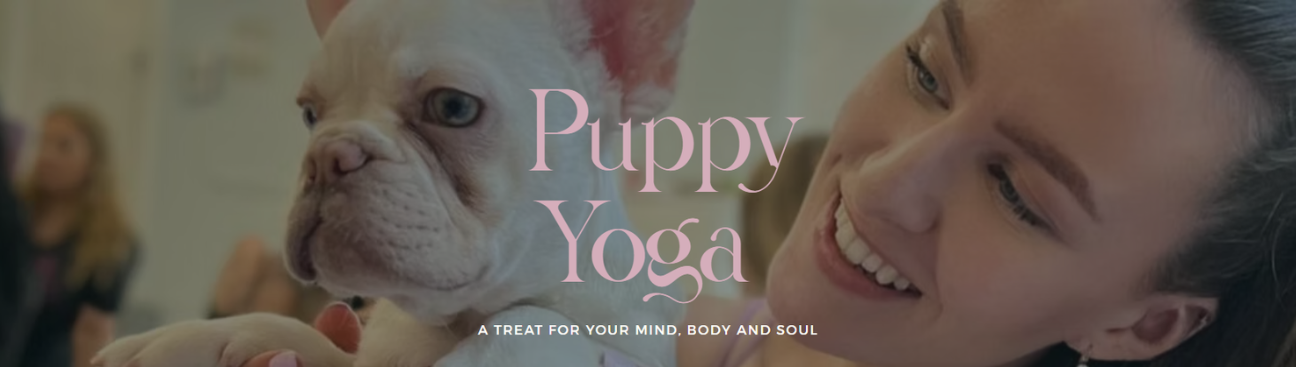 Puppy Yoga Sydney's cover image