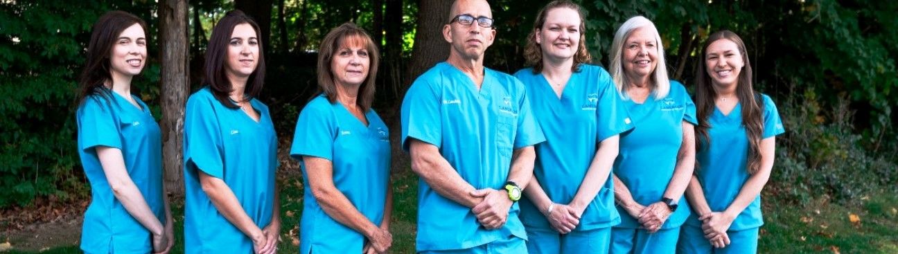 Landman Dentistry by the Lake, PLLC's cover image