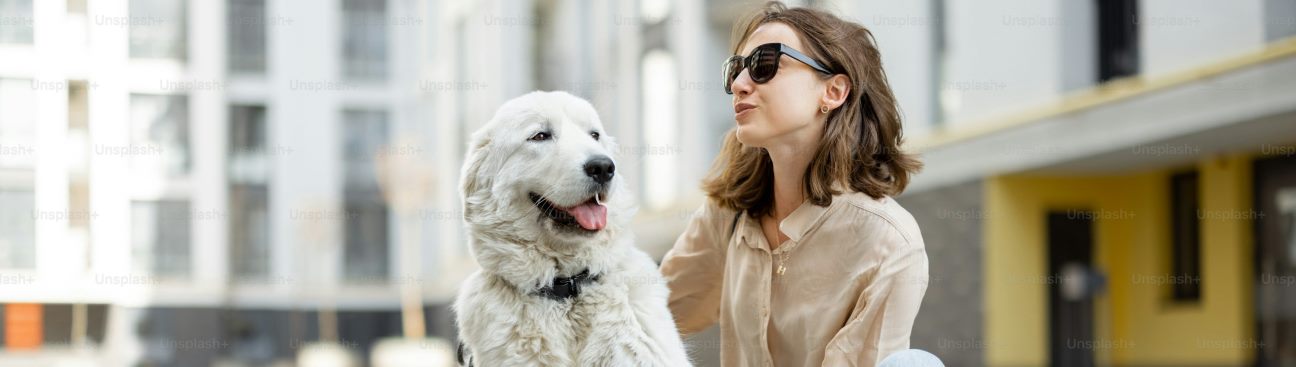 Das Hund Haus Inc.'s cover image