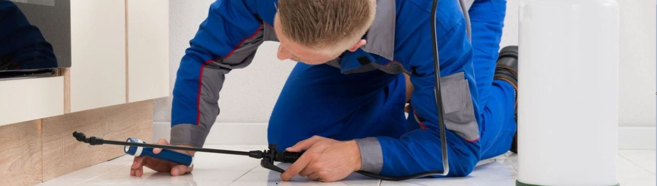 Dolphin Pest Control's cover image