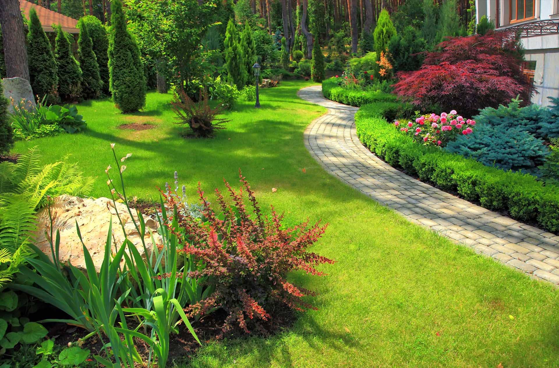 Oak Hill Lawn Services's cover image