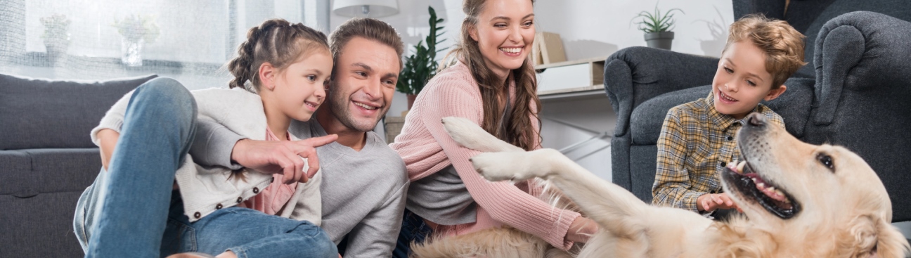 Onstar Pest Control's cover image