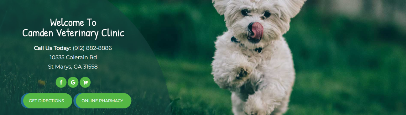 Camden Veterinary Clinic's cover image