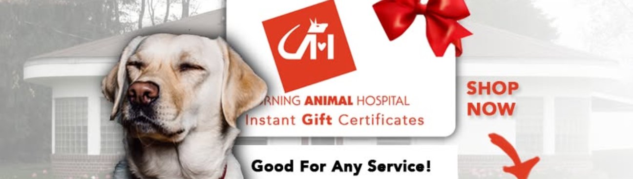 Corning Animal Hospital's cover image