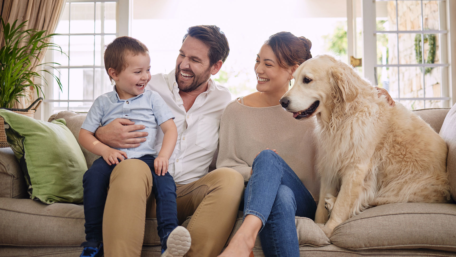 Plumbers 4 Real's cover image