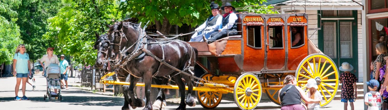 Columbia Stage Line and Stable's cover image