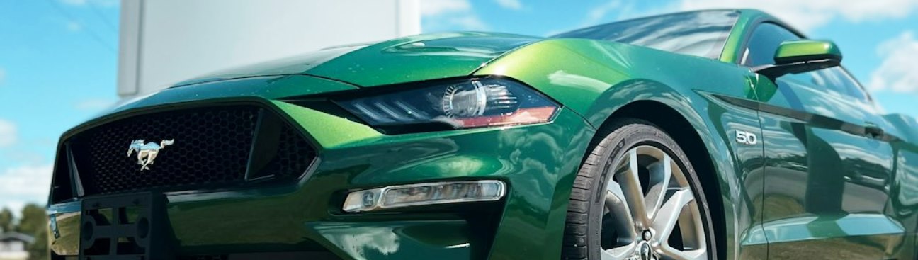 Leslie Ford Wingham's cover image