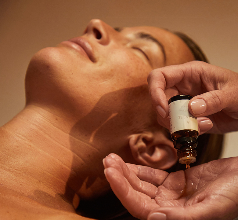 Discover our Fall Seasonal Packages 