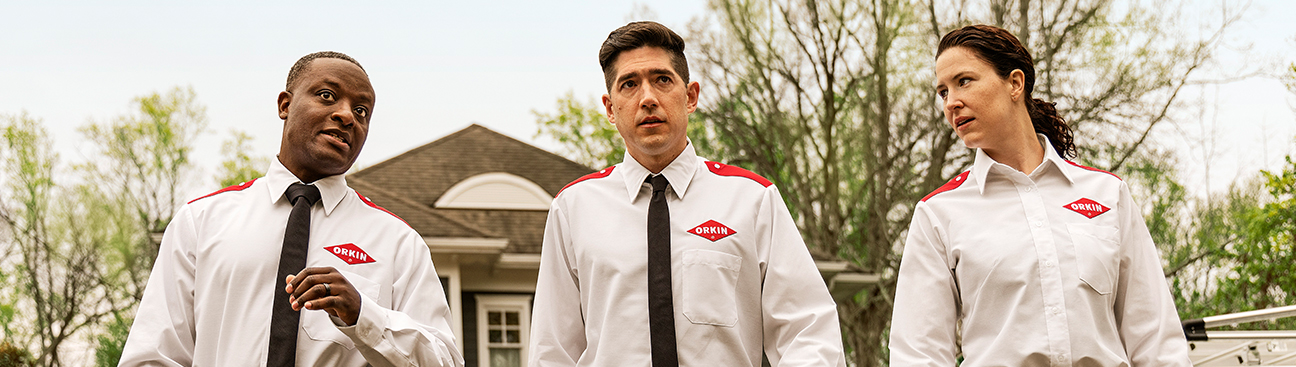 Pest Control Elgin Orkin - 137 Reviews - Pest Control in Elgin, IL - Birdeye