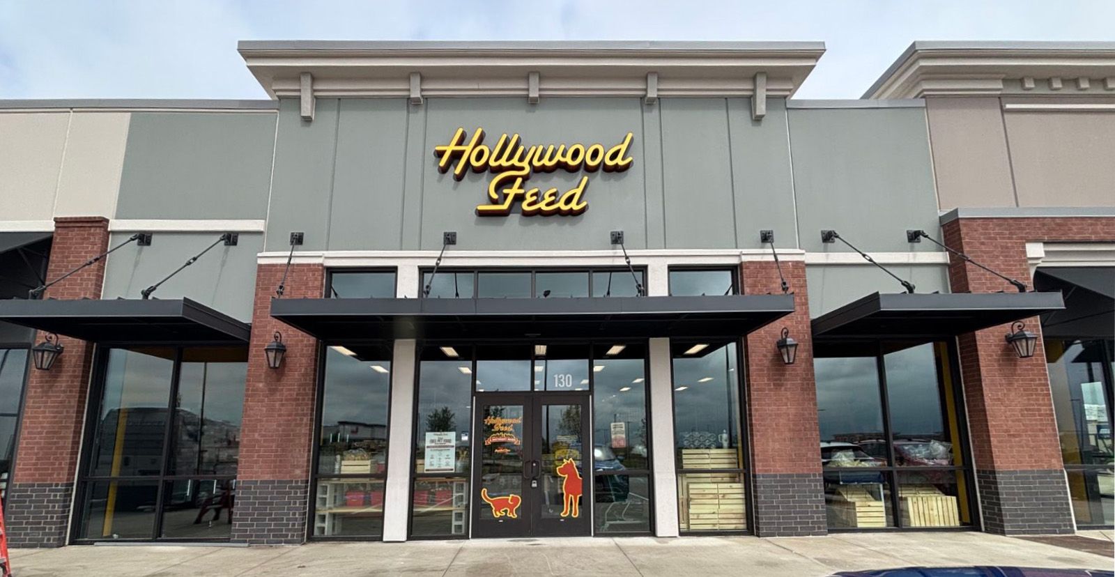 Hollywood Feed