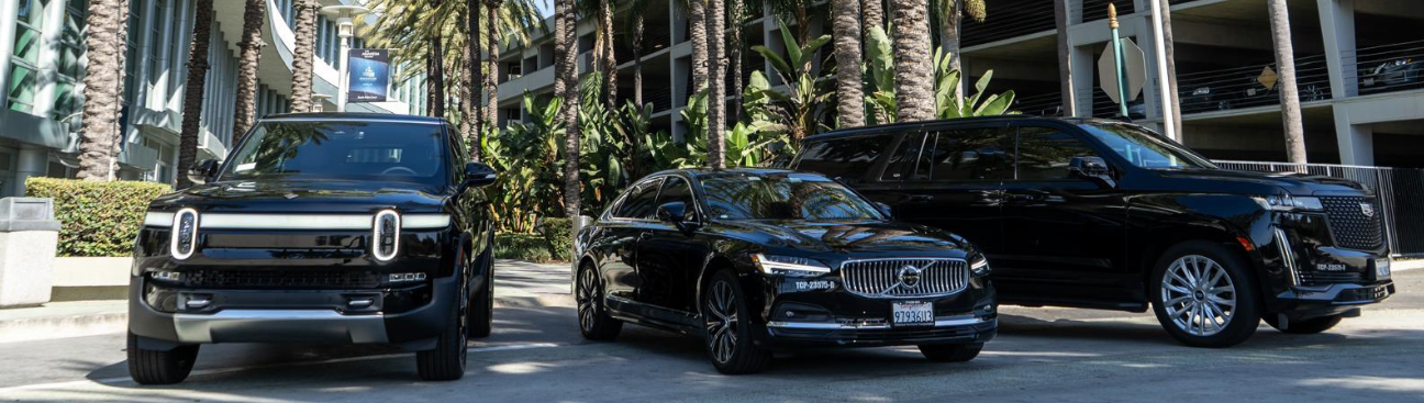 Classique Worldwide Transportation's cover image