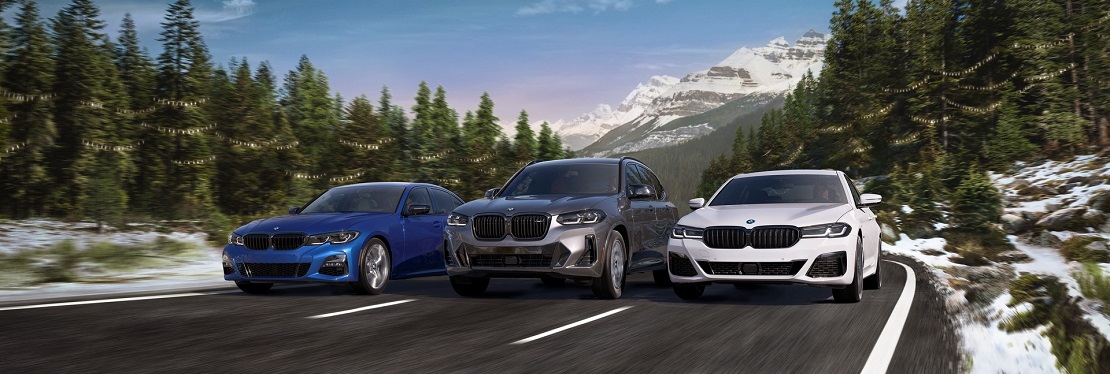 Ferman BMW's cover image