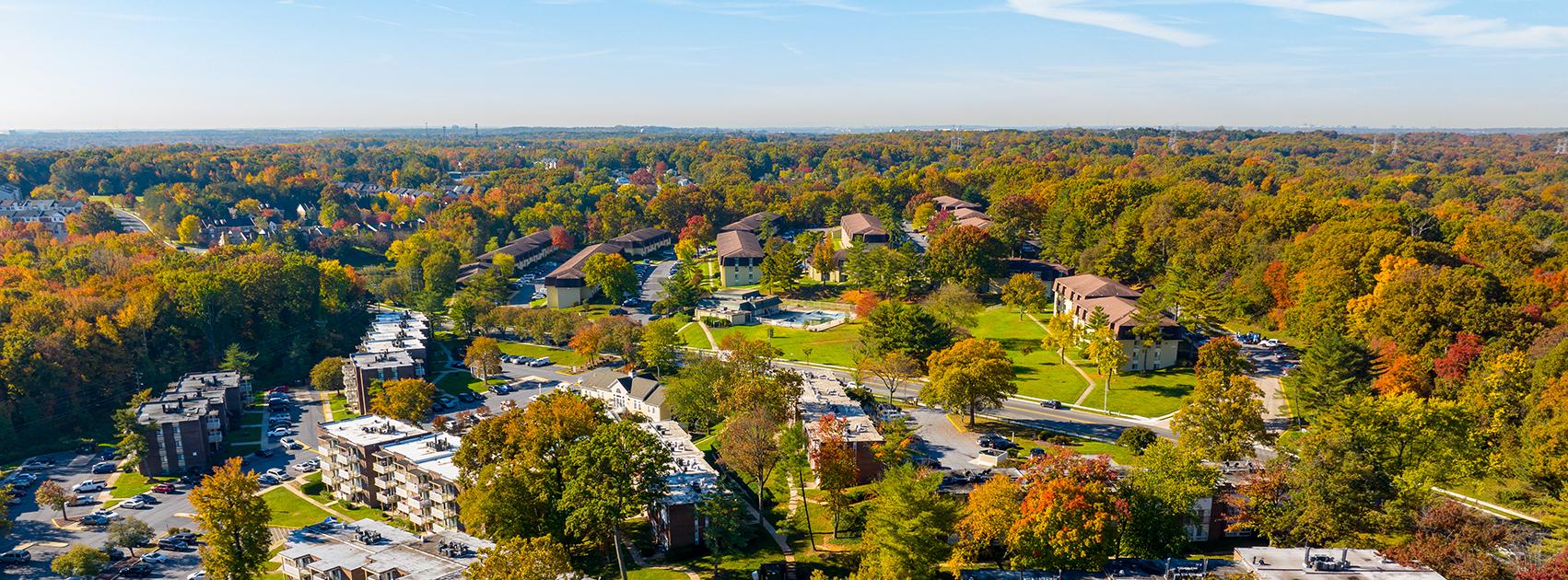 Simpson's Olde Towne Insurance's cover image