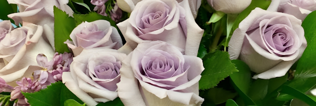 Sutton Florist's cover image